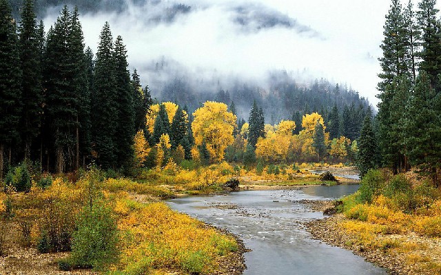 拼多多补单软件