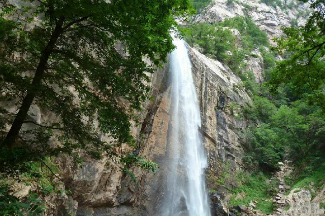 拼多多补单软件