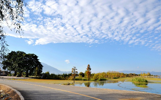 拼多多补单软件