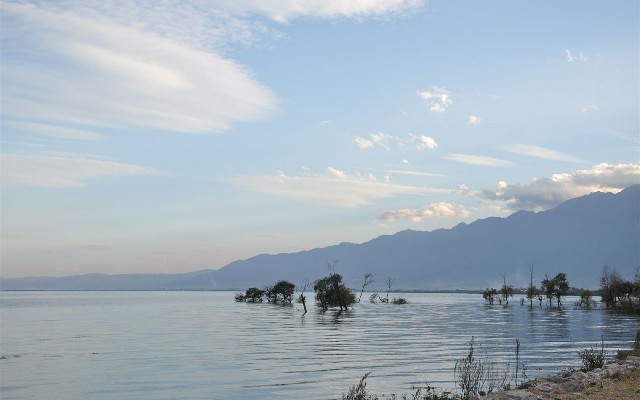 拼多多补单软件