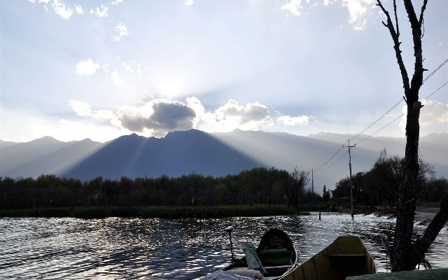 拼多多补单软件