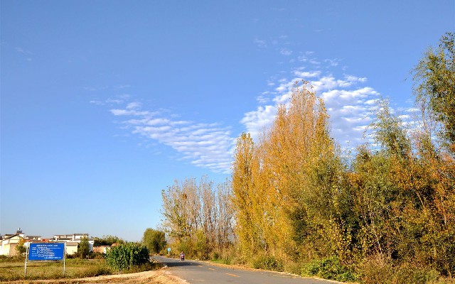 拼多多补单软件