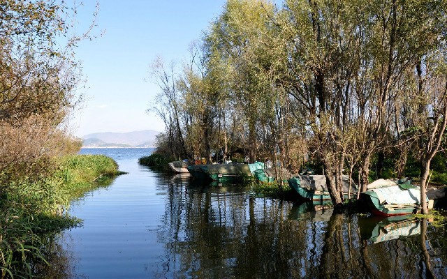 拼多多补单软件