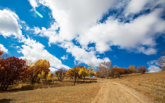 拼多多补单软件