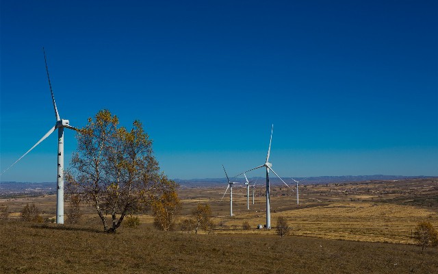 拼多多补单软件