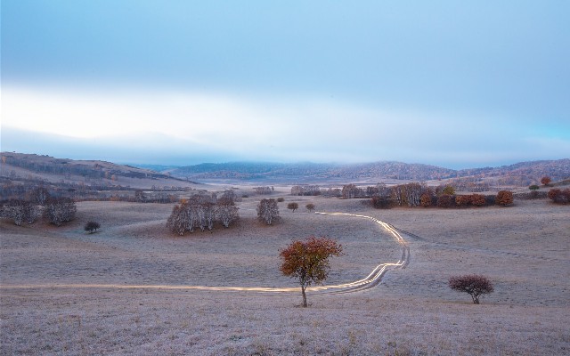 拼多多补单软件