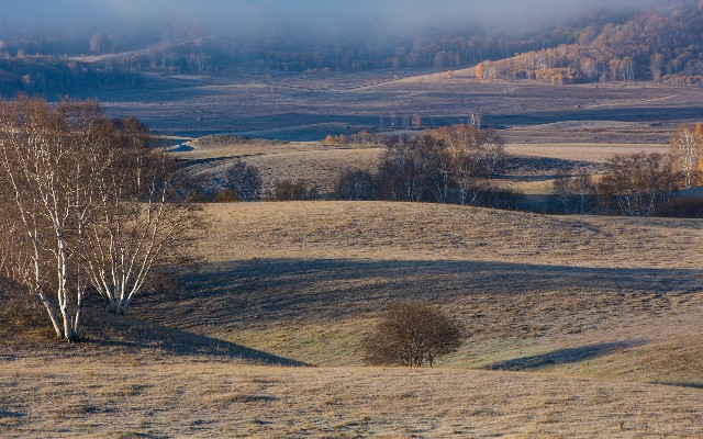 拼多多补单软件