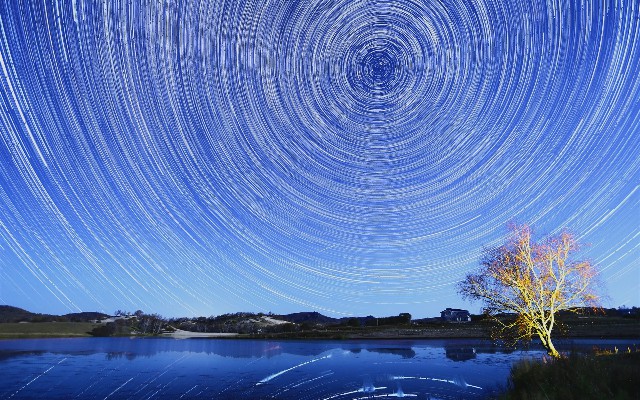 拼多多补单软件