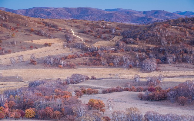 拼多多补单软件