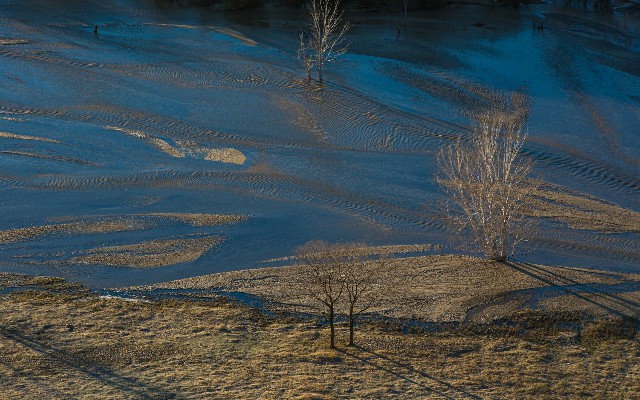 拼多多补单软件