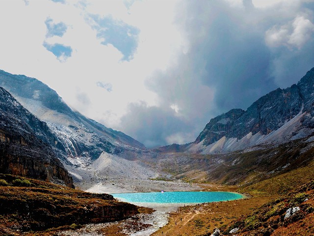 拼多多补单软件