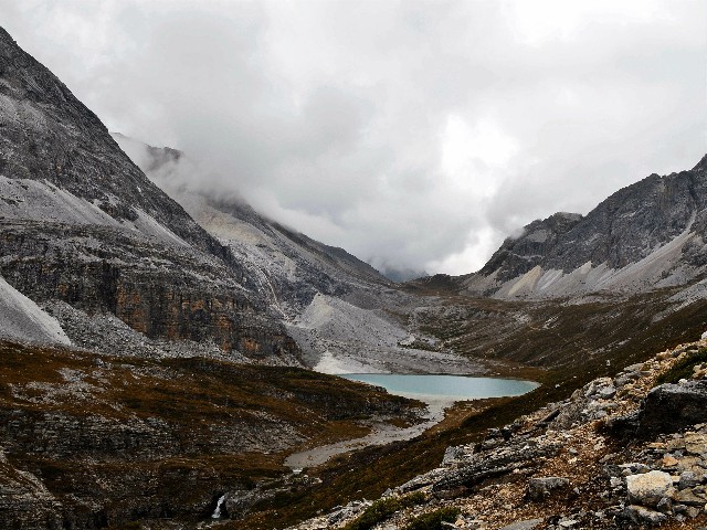 拼多多补单软件