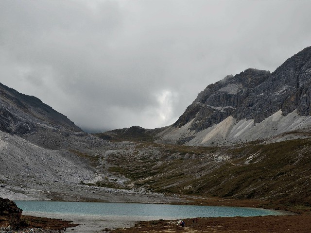 拼多多补单软件
