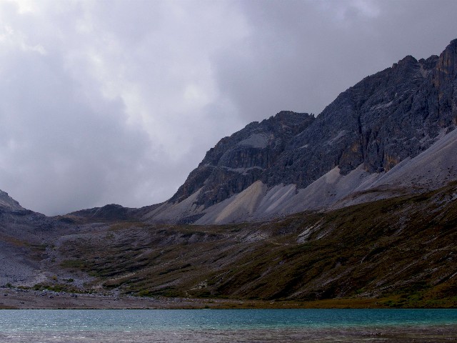拼多多补单软件