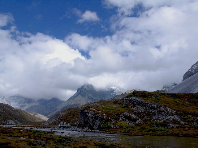 拼多多补单软件
