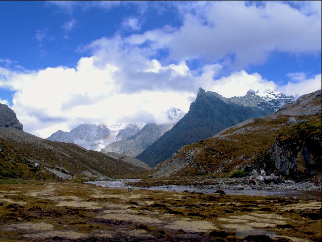 拼多多补单软件