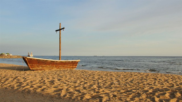 拼多多补单软件