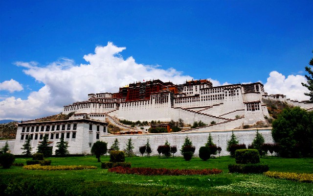 拼多多补单软件