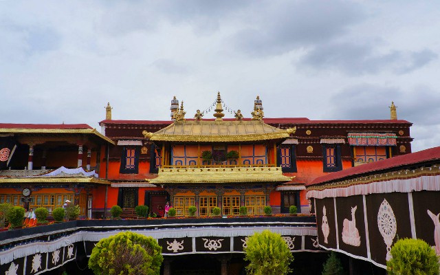 拼多多补单软件