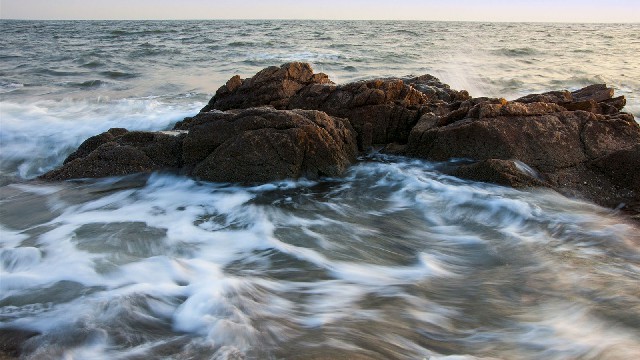 拼多多补单软件