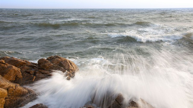 拼多多补单软件