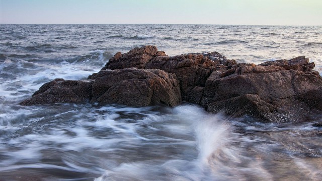 拼多多补单软件