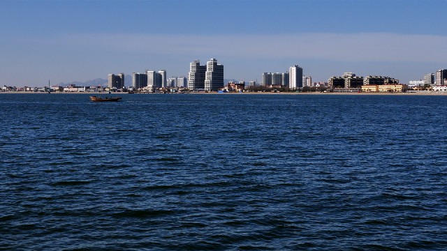 拼多多补单软件