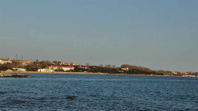 拼多多补单软件