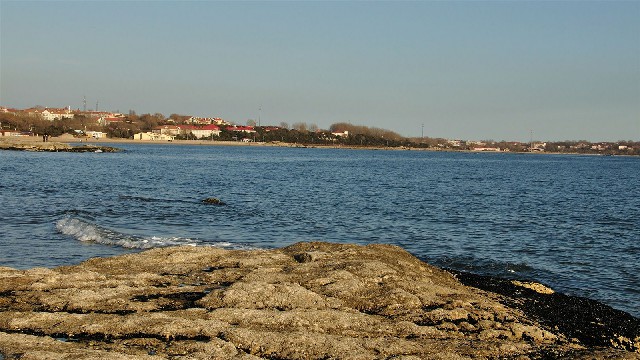 拼多多补单软件