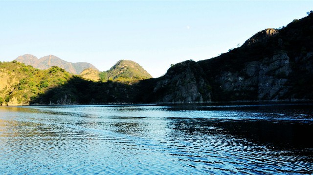 拼多多补单软件