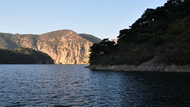 拼多多补单软件