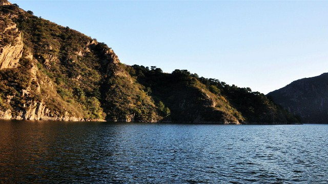 拼多多补单软件