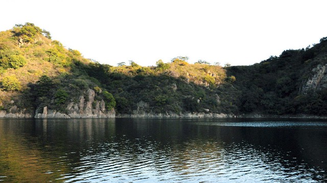 拼多多补单软件