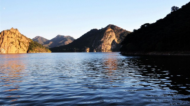 拼多多补单软件