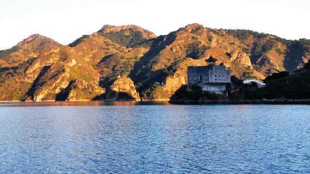 拼多多补单软件