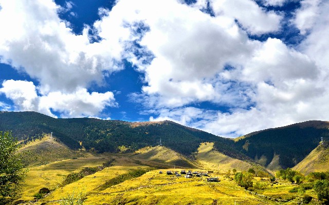 拼多多补单软件