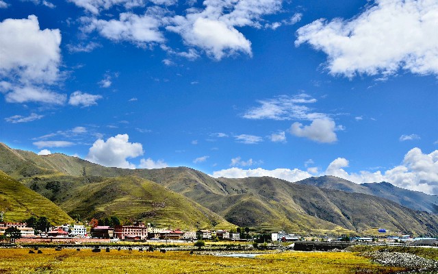 拼多多补单软件