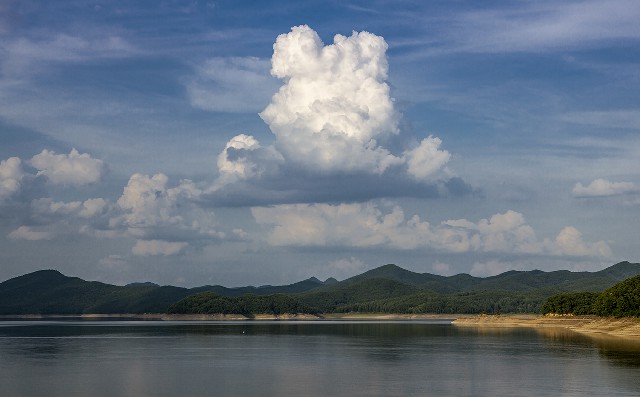 拼多多补单软件