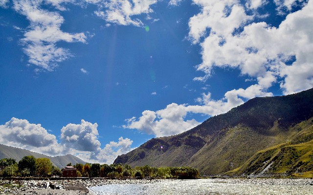 拼多多补单软件