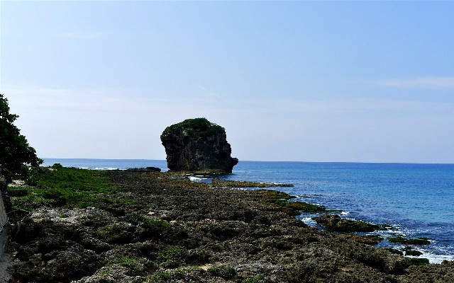 拼多多补单软件