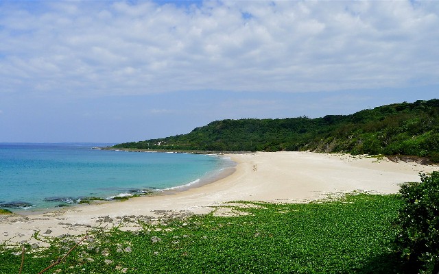 拼多多补单软件