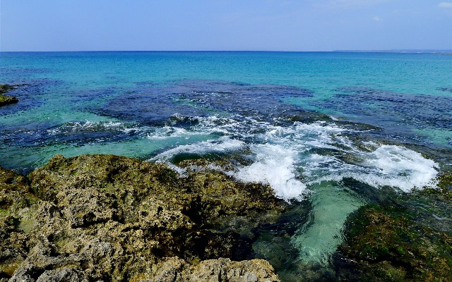 拼多多补单软件