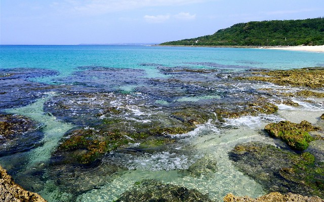 拼多多补单软件