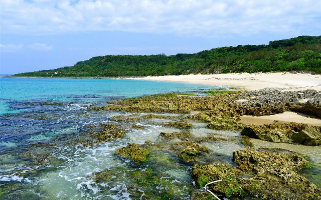 拼多多补单软件