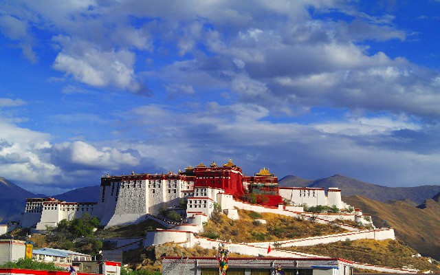 拼多多补单软件