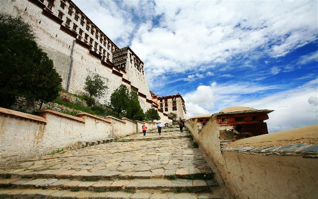 拼多多补单软件