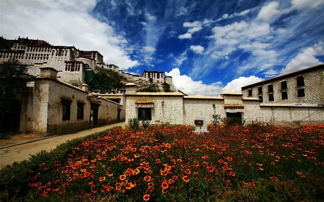 拼多多补单软件