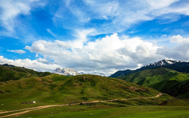 拼多多补单软件