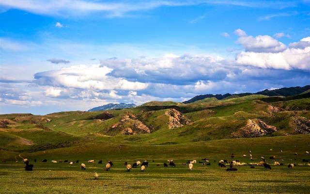 拼多多补单软件