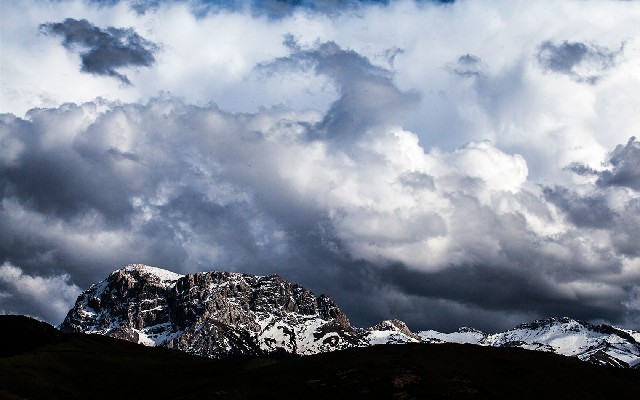 拼多多补单软件